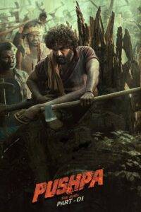 Pushpa: The Rise – Part 1 (2021) Hindi Dubbed AMZN