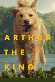 Arthur the King (2024) Hindi Dubbed