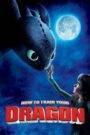 How to Train Your Dragon (2010) Hindi Dubbed