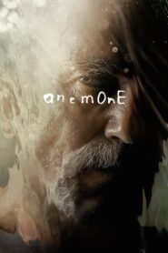 Anemone (2024) Hindi Dubbed JioHotstar